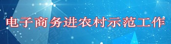 电子商务进农村示范工作专栏